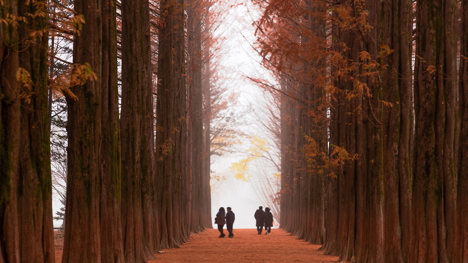 Chun-cheon city na-mi island