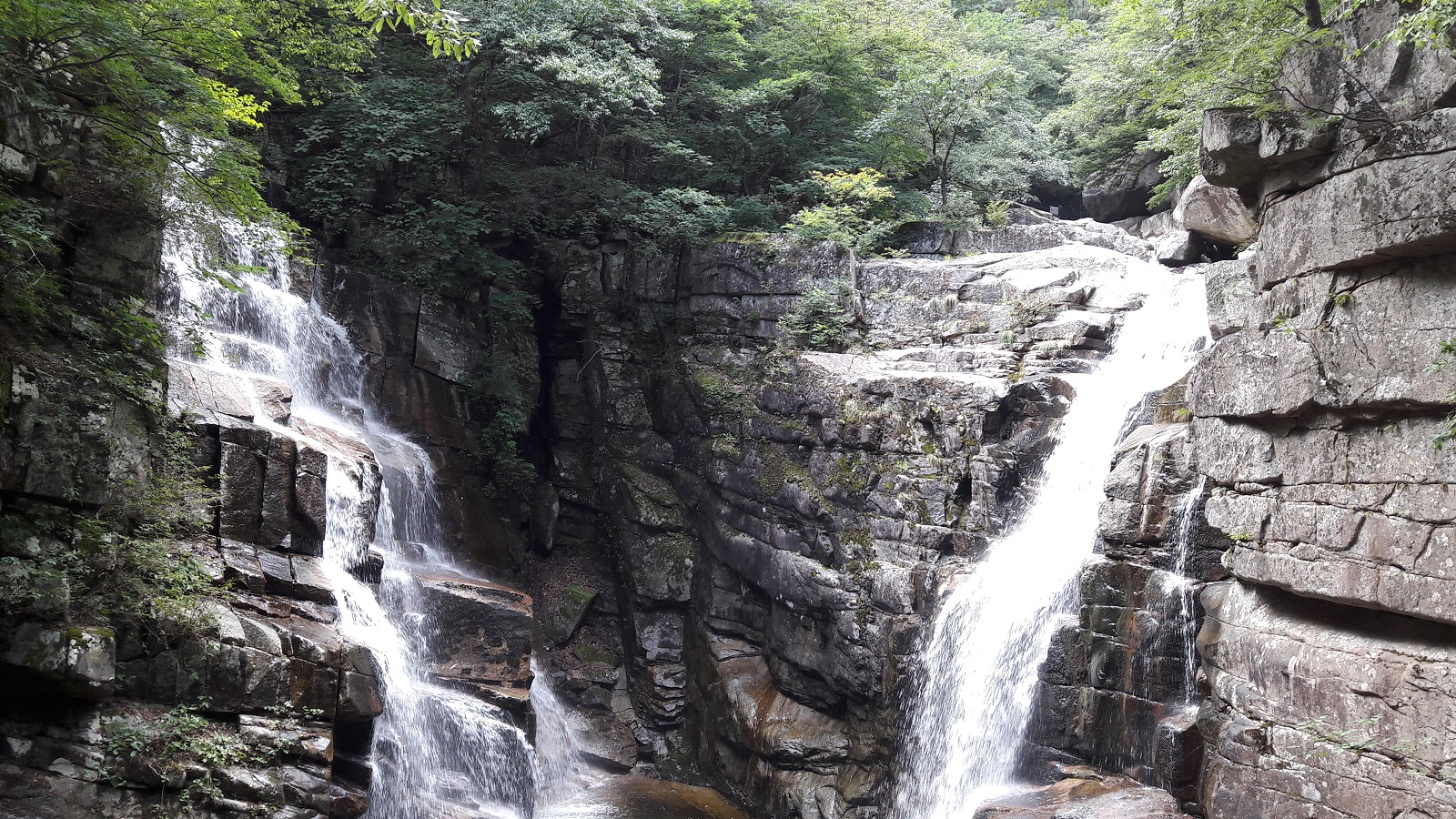 dong-hae city mu-reung valley