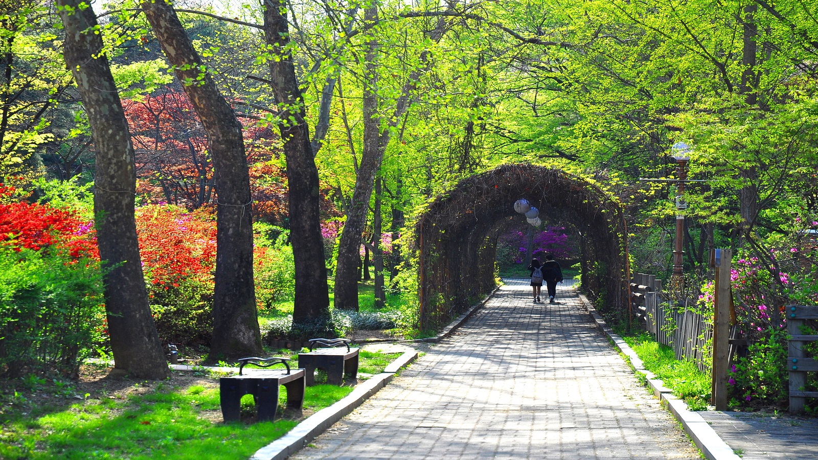Children’s grand park in seoul